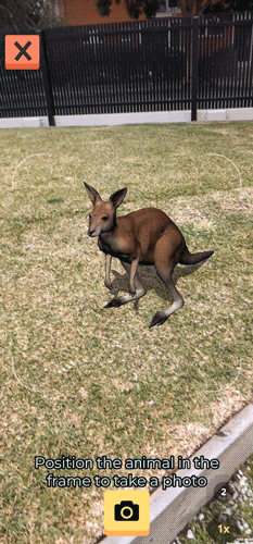 koalar dev note image.